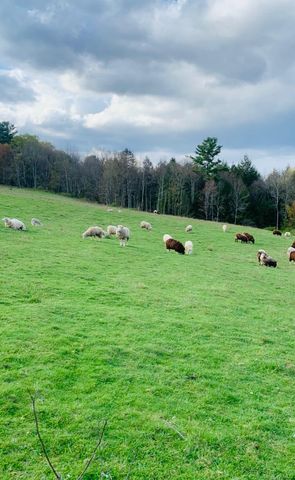 3 Burr Road, Cochecton, NY 12726