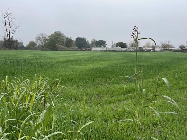 209 Clausen Rd, Turlock, CA 95380