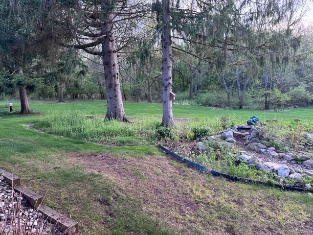 8127 Robinbrook Street, Richland Vllg, MI 49083