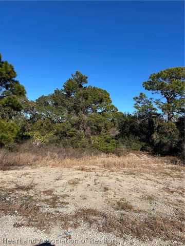 487 Devotion Drive, Lake Placid, FL 33852