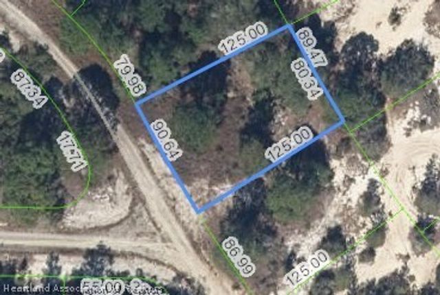 487 Devotion Drive, Lake Placid, FL 33852