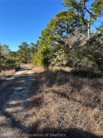 487 Devotion Drive, Lake Placid, FL 33852