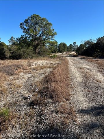 487 Devotion Drive, Lake Placid, FL 33852