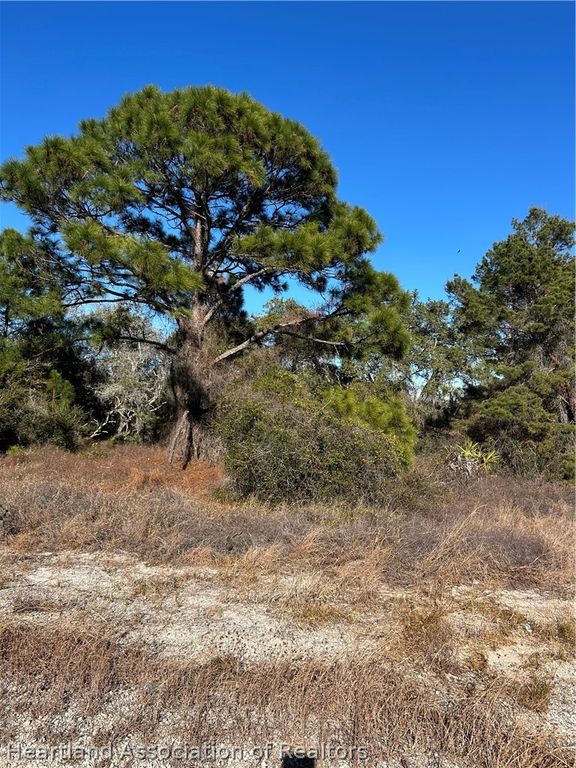 487 Devotion Drive, Lake Placid, FL 33852