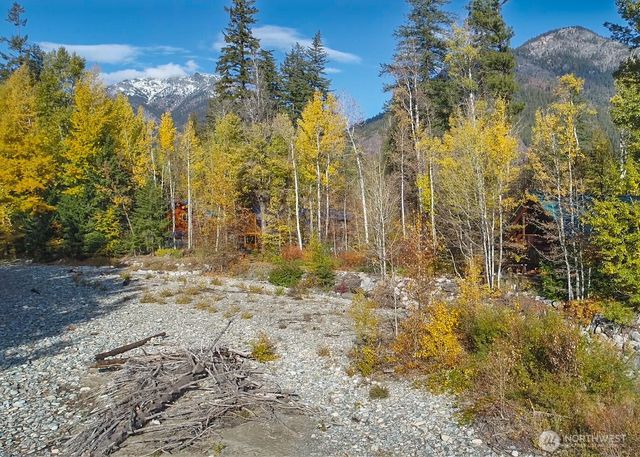 26 Mercer Road, Mazama, WA 98833