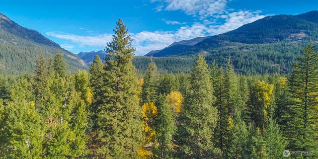 26 Mercer Road, Mazama, WA 98833