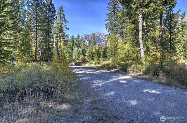 26 Mercer Road, Mazama, WA 98833