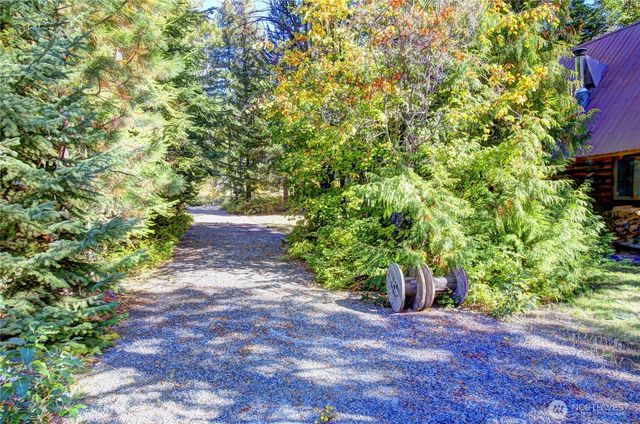 26 Mercer Road, Mazama, WA 98833