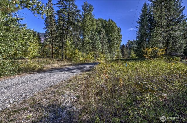 26 Mercer Road, Mazama, WA 98833