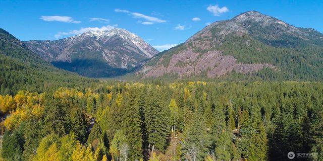 26 Mercer Road, Mazama, WA 98833