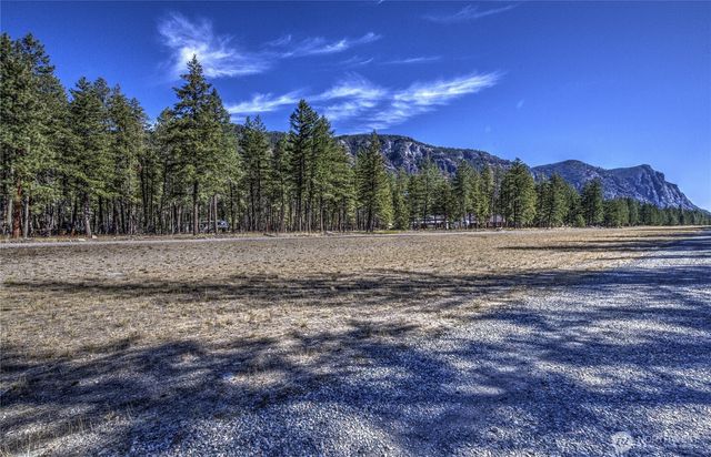 26 Mercer Road, Mazama, WA 98833