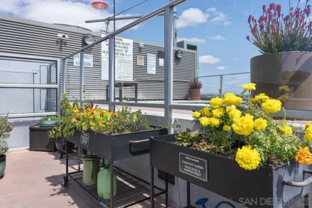 1080 Park Blvd. 1602, San Diego, CA 92101