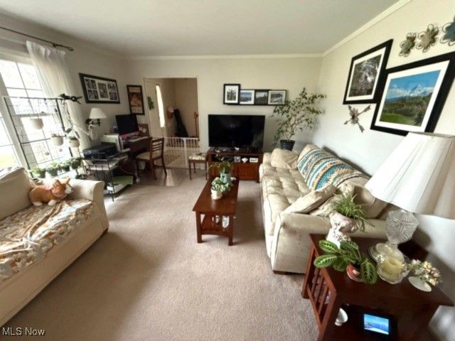 1026 Joy Oval, Seven Hills, OH 44131