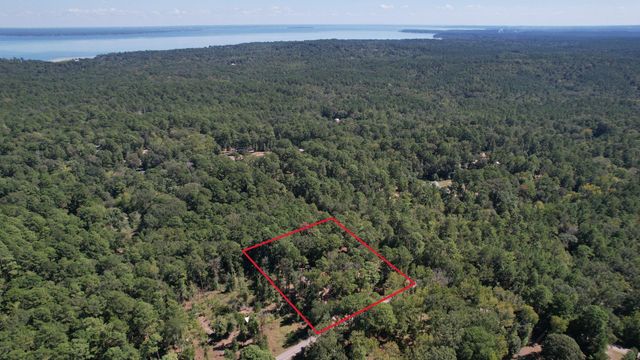 20 Morris Creek Road, Coldspring, TX 77331