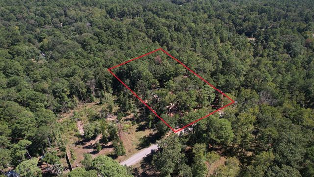 20 Morris Creek Road, Coldspring, TX 77331