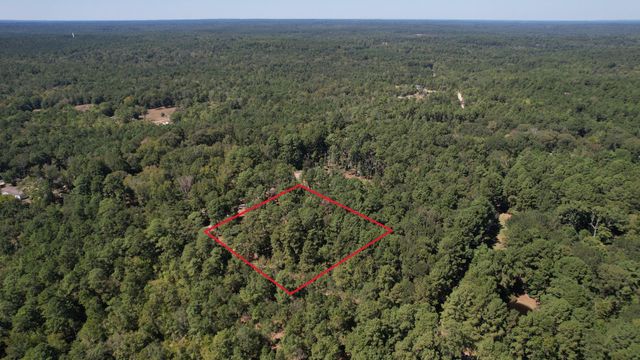 20 Morris Creek Road, Coldspring, TX 77331