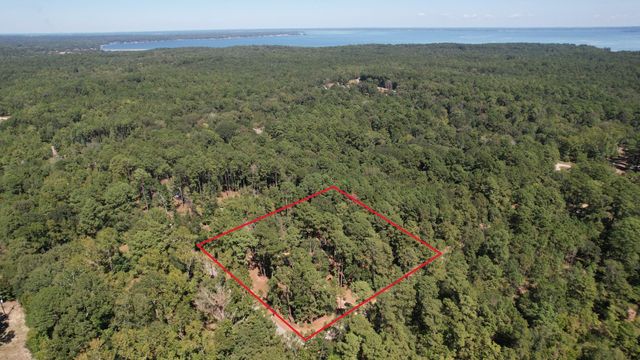20 Morris Creek Road, Coldspring, TX 77331