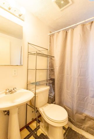 1055 Duncan Lane, Pullman, WA 99163