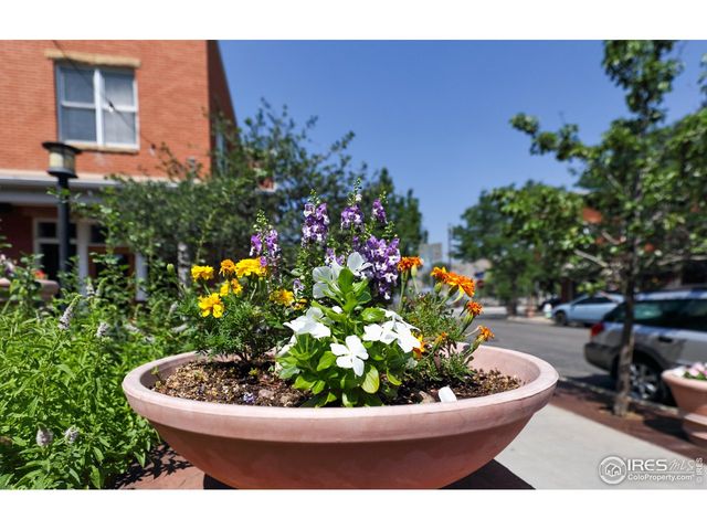 1517 Easy Rider Ln 101 & 102, Boulder, CO 80304