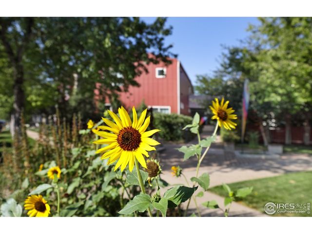 1517 Easy Rider Ln 101 & 102, Boulder, CO 80304