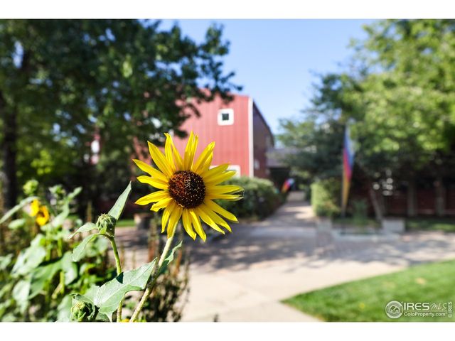 1517 Easy Rider Ln 101 & 102, Boulder, CO 80304