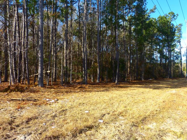 123 State Road, Summerville, SC 29486