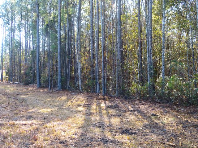 123 State Road, Summerville, SC 29486