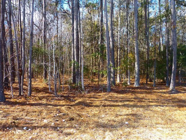 123 State Road, Summerville, SC 29486
