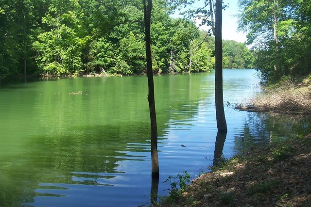 5 Aaron Street, Sevierville, TN 37876