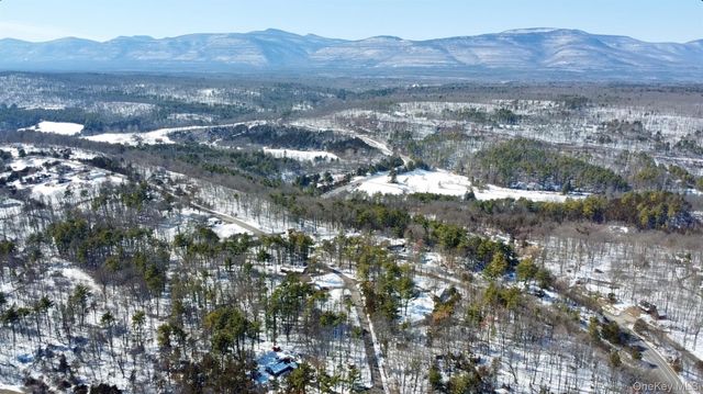 24 Palmer Road, Catskill, NY 12414