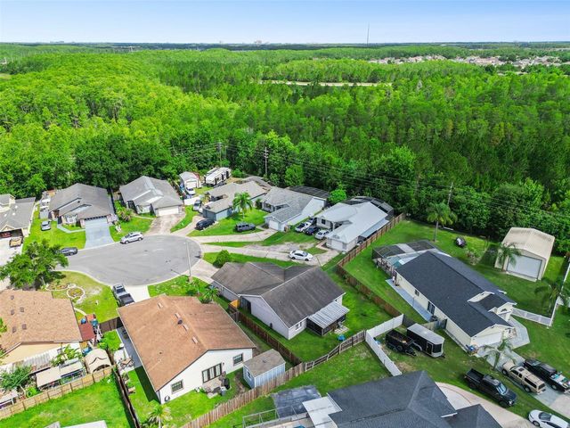 217 OLIVEWOOD COURT, Kissimmee, FL 34743