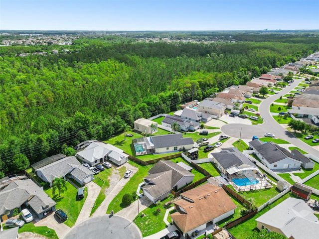 217 OLIVEWOOD COURT, Kissimmee, FL 34743