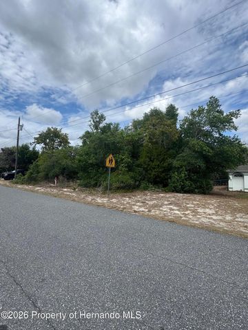 2132 Deborah Drive, Spring Hill, FL 34609