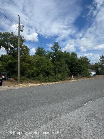 2132 Deborah Drive, Spring Hill, FL 34609