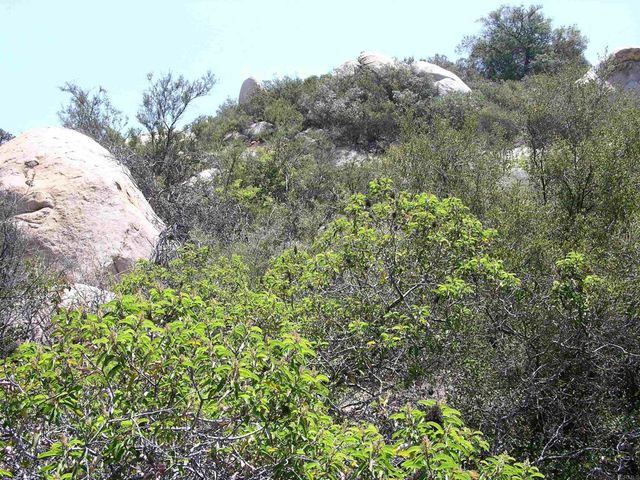 Lot 53 Welcome View, Escondido, CA 92026