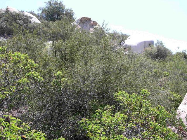 Lot 53 Welcome View, Escondido, CA 92026