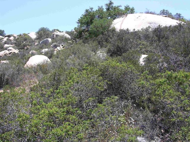 Lot 53 Welcome View, Escondido, CA 92026