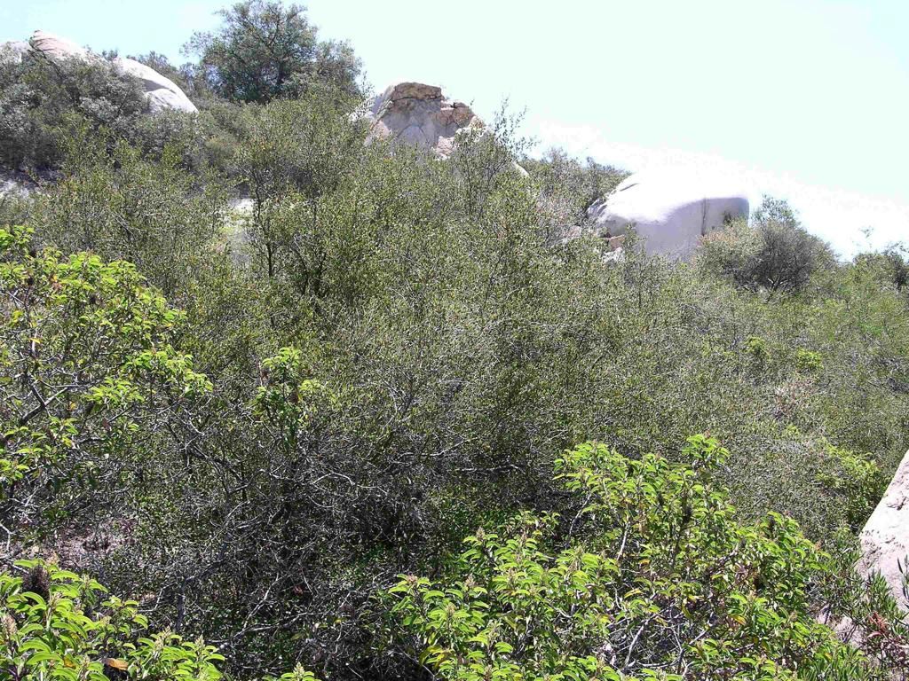 Lot 53 Welcome View, Escondido, CA 92026 — photo 3