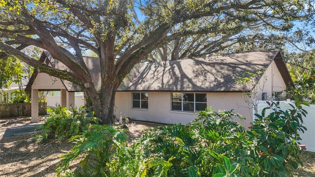 4319 S CAMERON AVENUE, Tampa, FL 33611