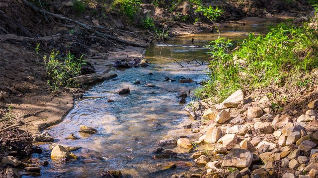 938 County Road 1655, Mt Pleasant, TX 75455