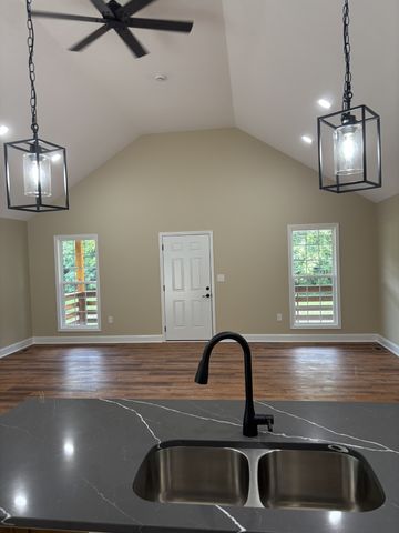 226 Lanier Private Ln, Pulaski, TN 38478