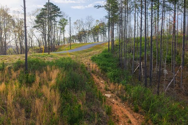 Lot 226 West Vista Ridge Parkway, Talking Rock, GA 30175