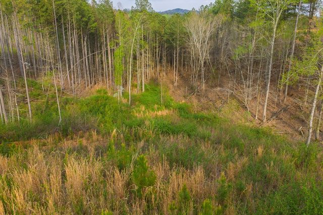Lot 226 West Vista Ridge Parkway, Talking Rock, GA 30175