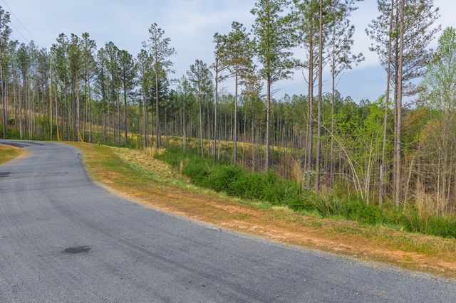 Lot 226 West Vista Ridge Parkway, Talking Rock, GA 30175