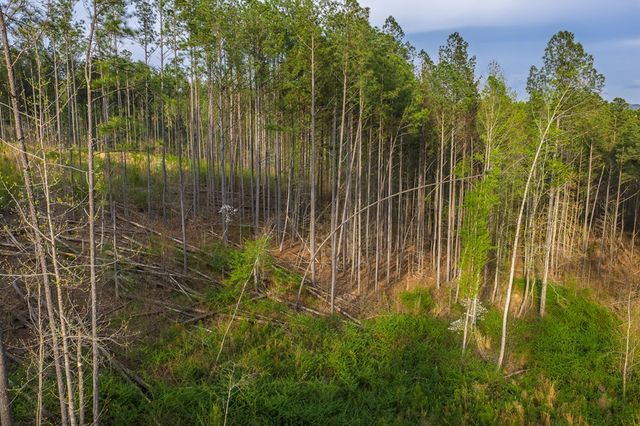 Lot 226 West Vista Ridge Parkway, Talking Rock, GA 30175
