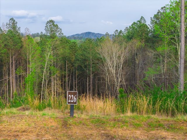 Lot 226 West Vista Ridge Parkway, Talking Rock, GA 30175