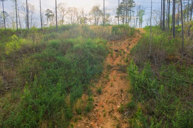 Lot 226 West Vista Ridge Parkway, Talking Rock, GA 30175