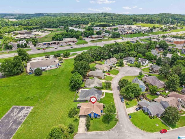 528 BUCK CREEK LANE, Alabaster, AL 35007