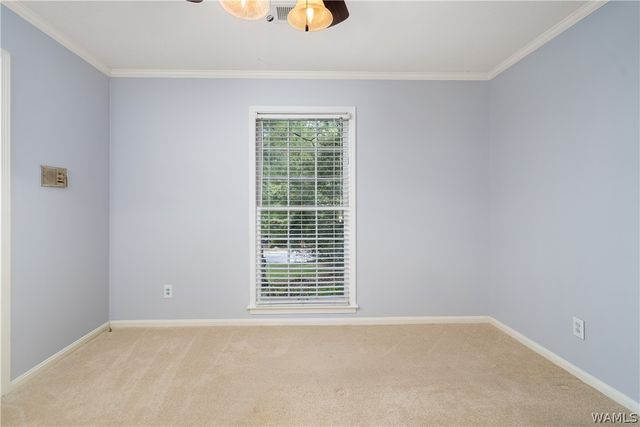 4629 White Dogwood, Northport, AL 35473