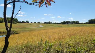 L7B1 Miller Place NW, Rochester, MN 55901